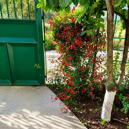 Petros Garden House Guest house Himare