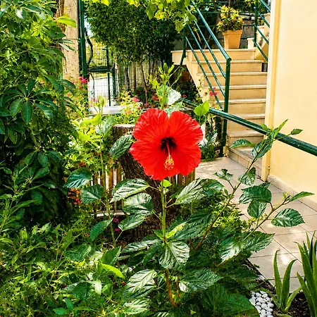 Petros Garden House Guest house *
